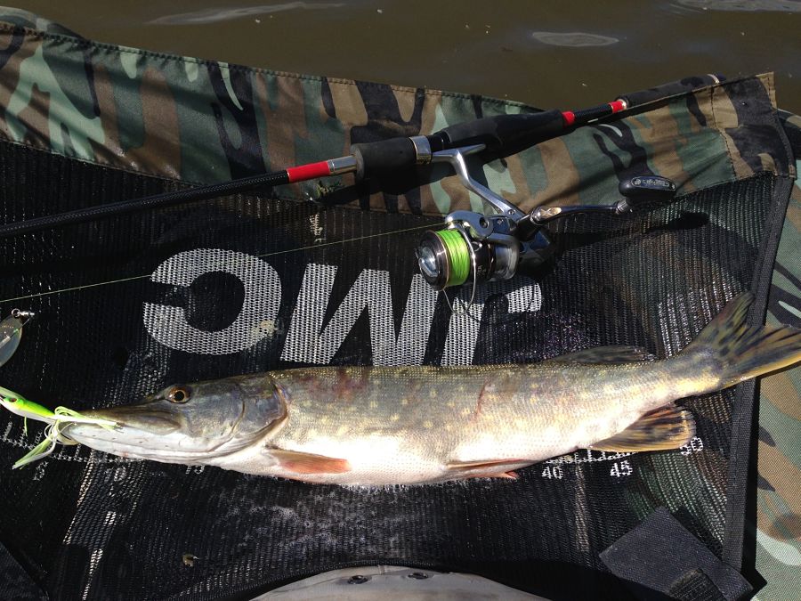 Canne spinning TENRYU SAYAKA EVO - Sport & Plein air