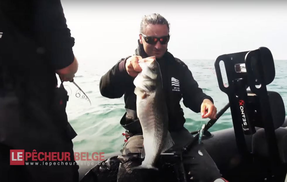 Sortie de pêche du bar entre Le Havre et Etretat en vidéo ! Ultimate