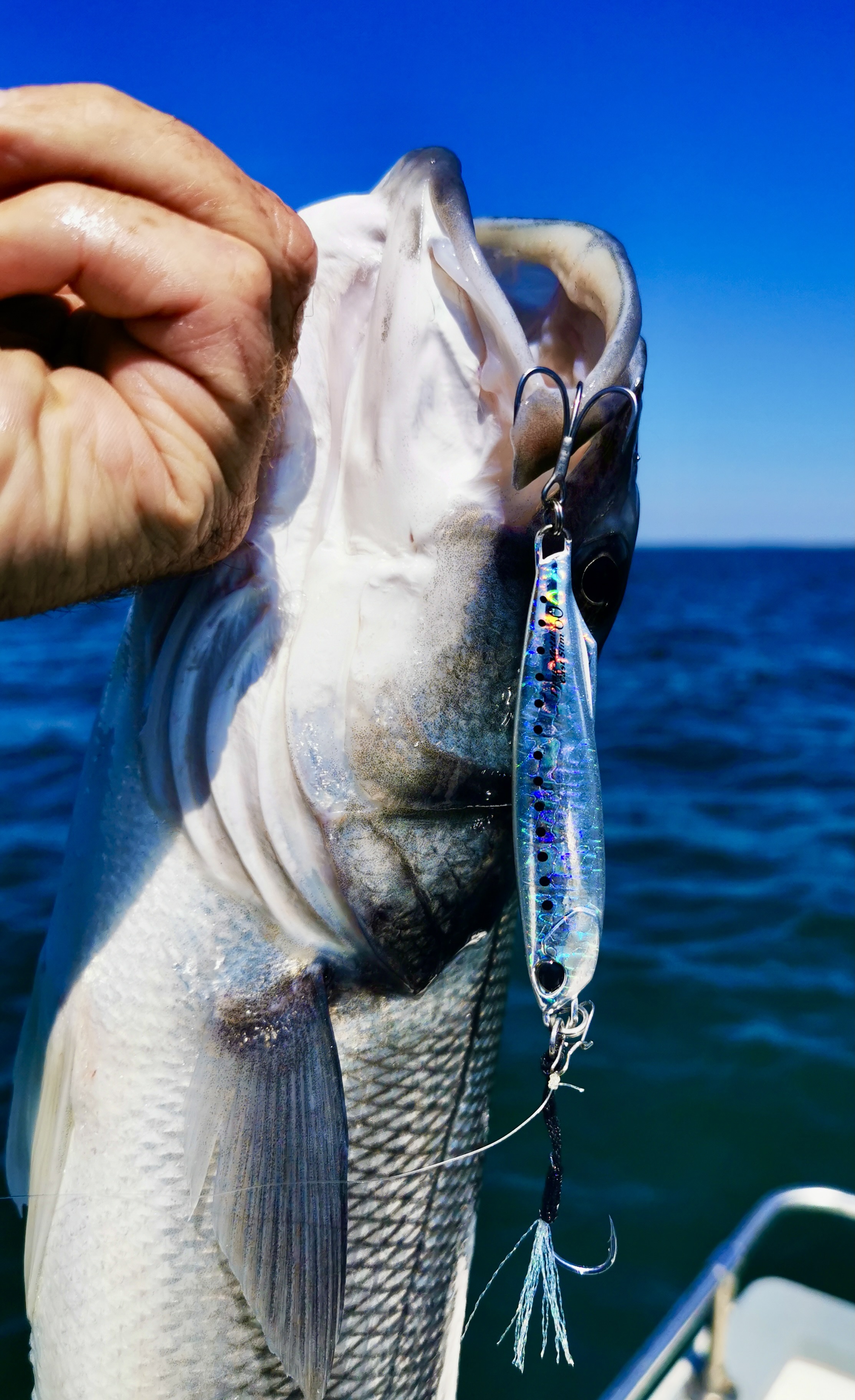 Pêche aux leurres : comment réaliser ses assist hook