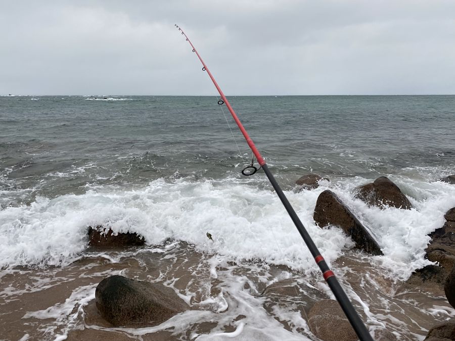 Quelle canne pour pêcher au leurre en mer ? 