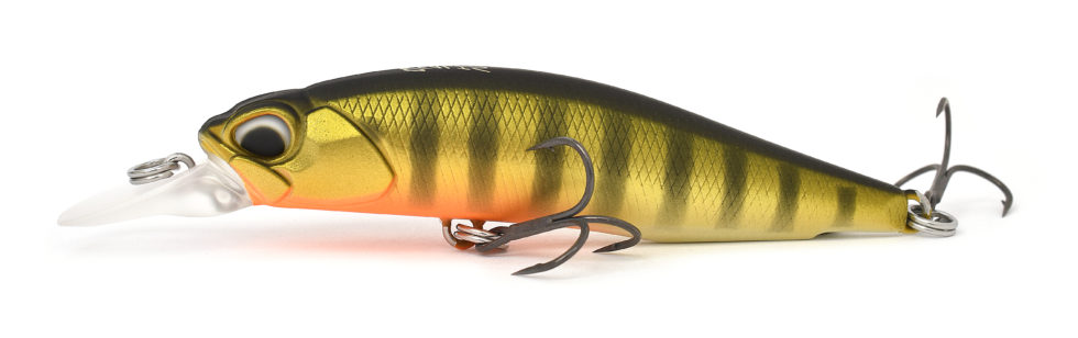 duo realis Rozante