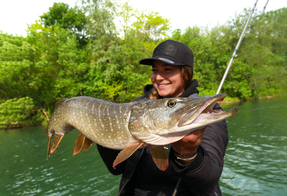 Megabass I slide gros brochet