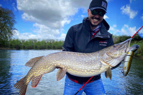 Ouverture du brochet 2019 : Bien choisir ses cannes à brochet