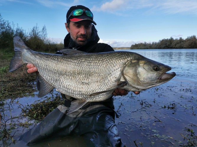 Pêche en casting, l'âge de raison pour la pêche des carnassiers