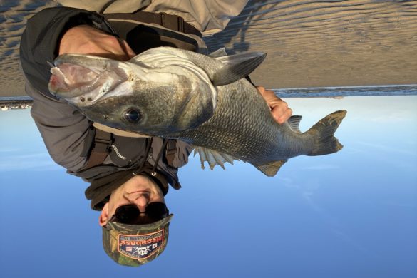 Nikko craw  Ultimate Fishing