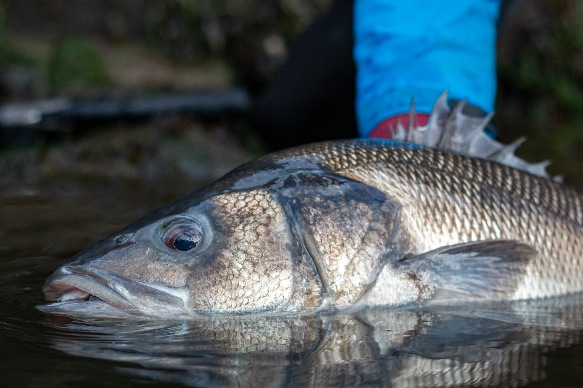 Les 3 techniques à maîtriser pour bien pêcher en mer - Comptoir de