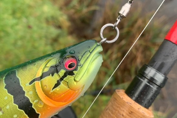 Pêche du brochet au big bait : Quelles tresses et bas de ligne ?