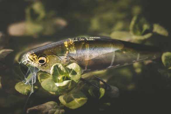 Quel moulinet Shimano pour la pêche du bar ? - Leurre de la pêche