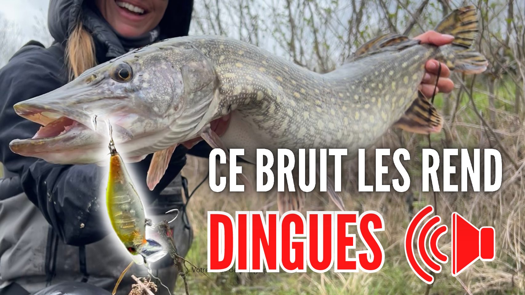 Ouverture du brochet 2019 : Bien choisir ses cannes à brochet