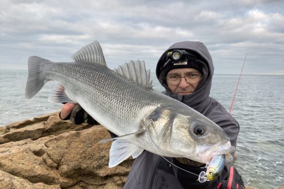 Ma boite de pêche pour le bar – Way Of Fishing