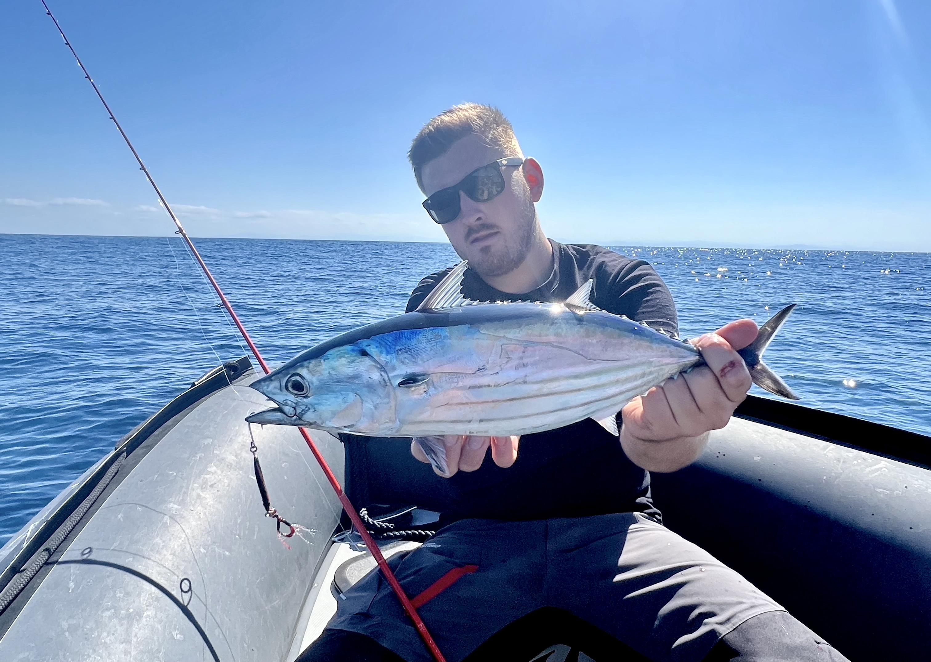 Où Pêcher Le Thon ? Comment Pêcher Le Thon ? - Blog Leurre De La Pêche