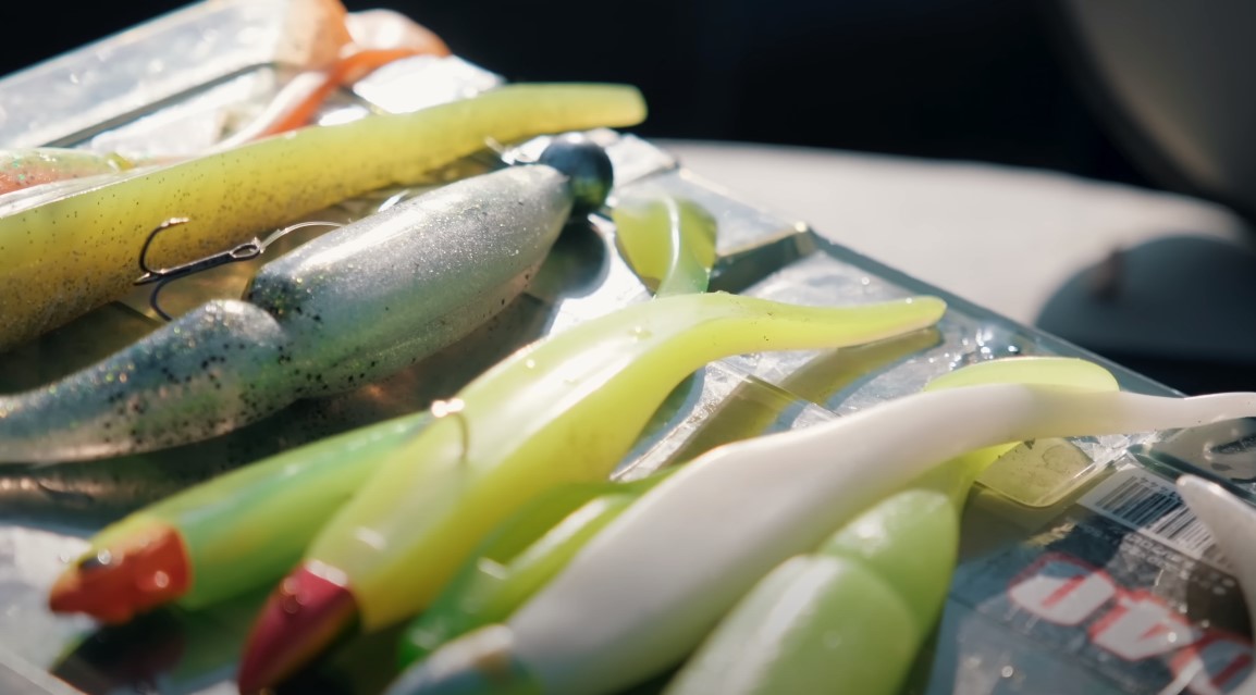 Pêche du sandre avec des gros leurres souples