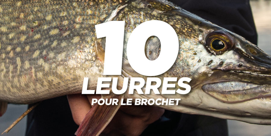 Leurre Carnassier 5 Leurres Souples Ghazpmuk T-Tail - Pour Brochet, Sandre, Perche - PVC Haute Qualité Leurre Souple Bar