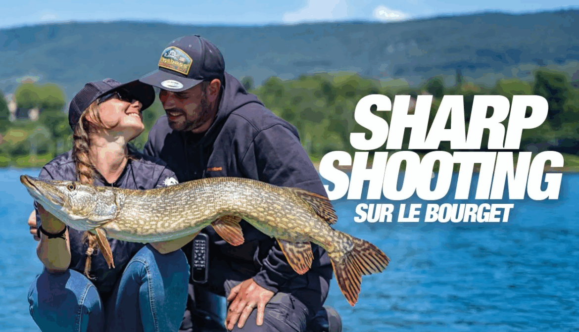 sharpshooting