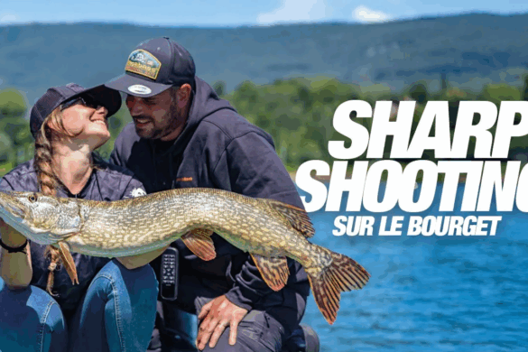 sharpshooting